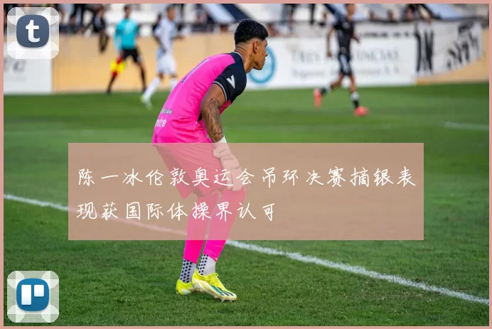 陈一冰伦敦奥运会吊环决赛摘银表现获国际体操界认可