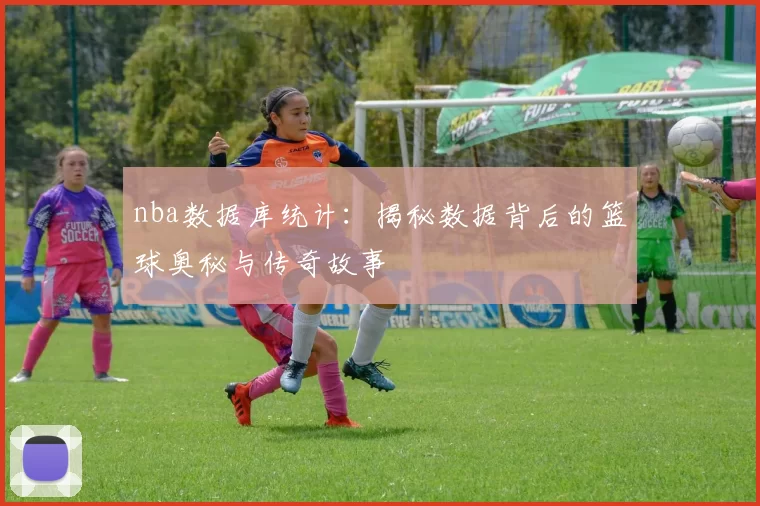 nba数据库统计：揭秘数据背后的篮球奥秘与传奇故事