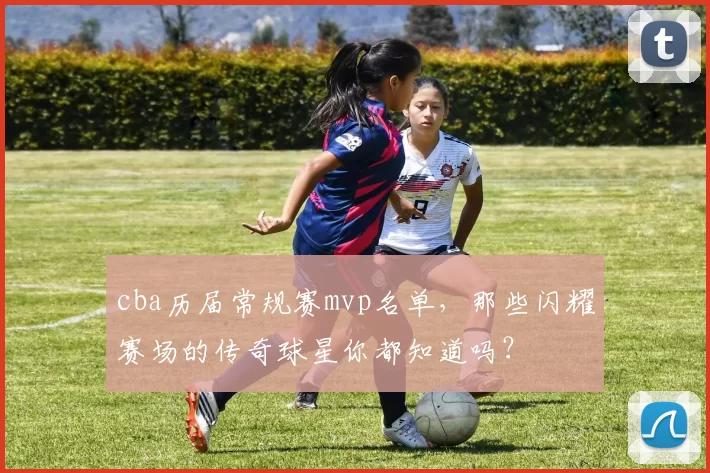 cba历届常规赛mvp名单，那些闪耀赛场的传奇球星你都知道吗？