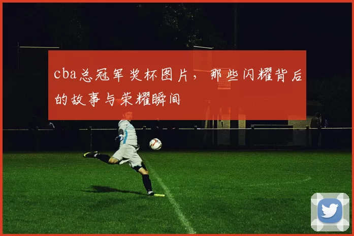 cba总冠军奖杯图片，那些闪耀背后的故事与荣耀瞬间