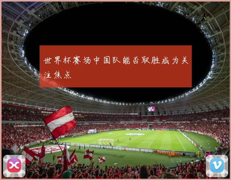世界杯赛场中国队能否取胜成为关注焦点